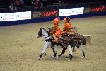 Quadrille - 00064